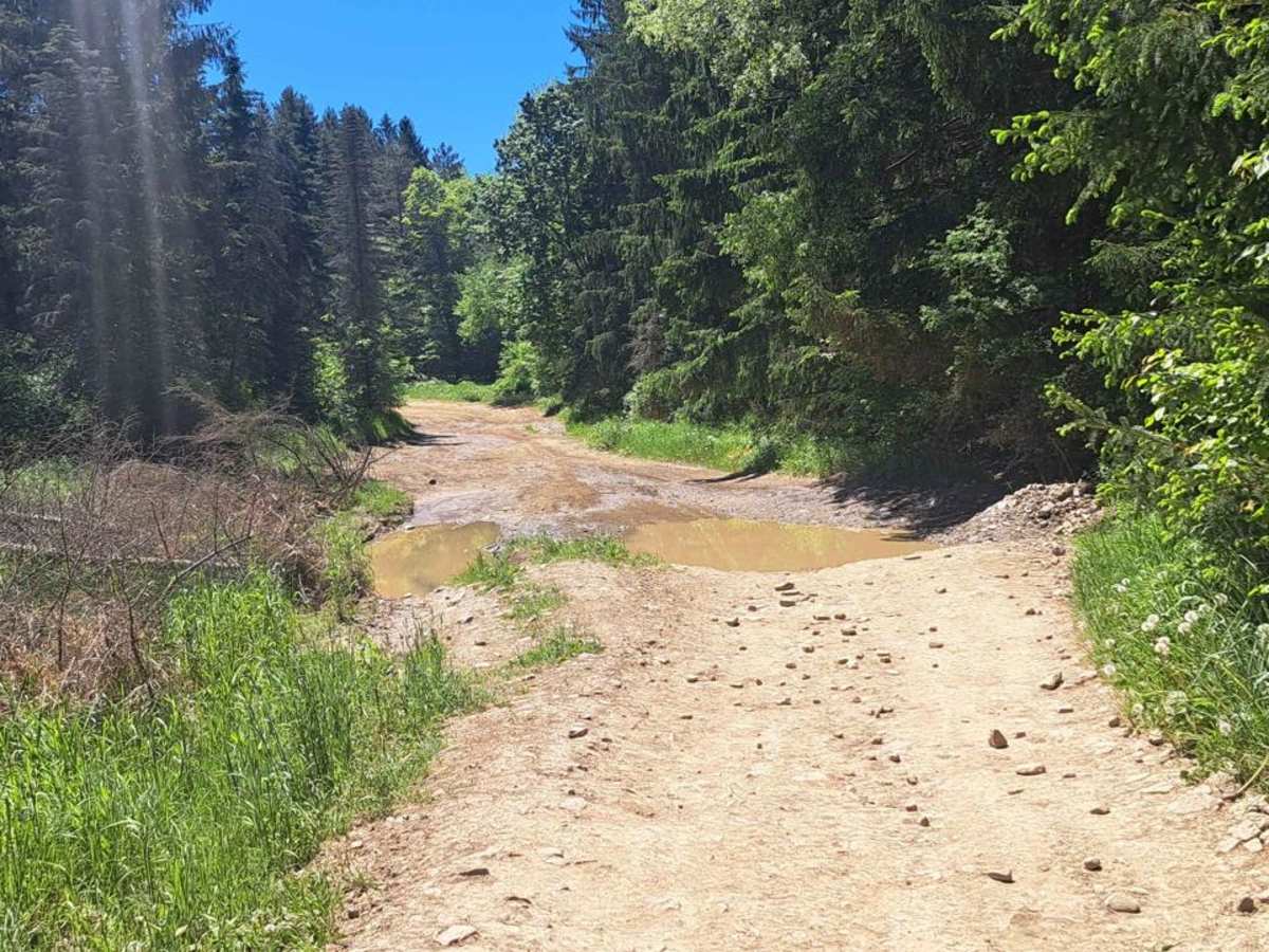 Uncle Bob's Path photo 4