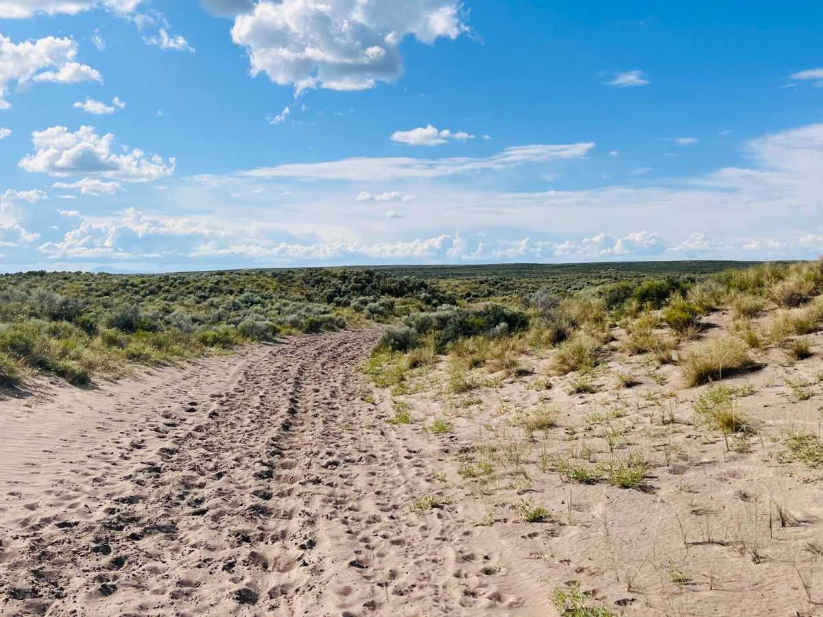 St. Anthony Sand Dunes Western Access photo 3