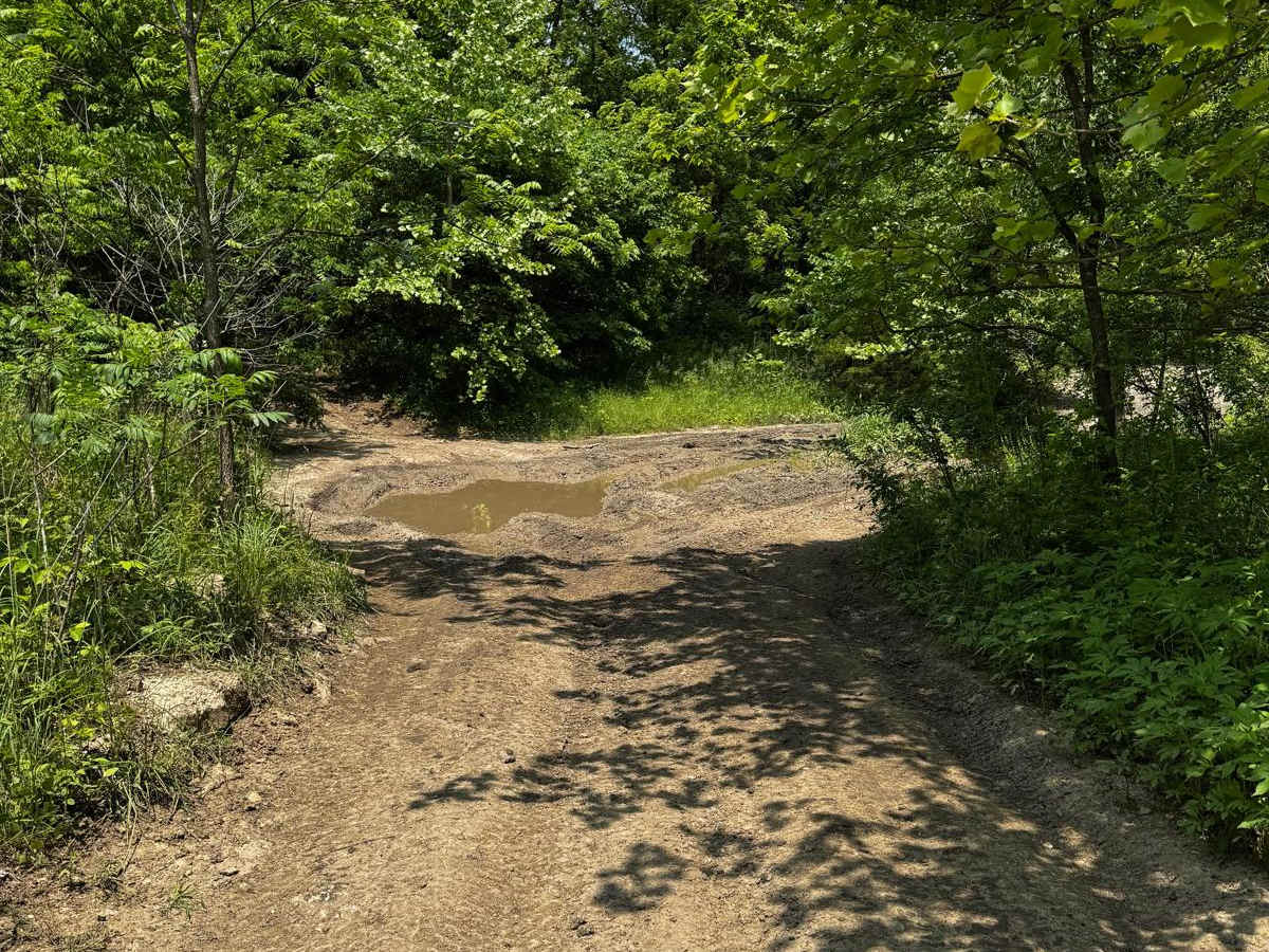 Green 66 trail photo