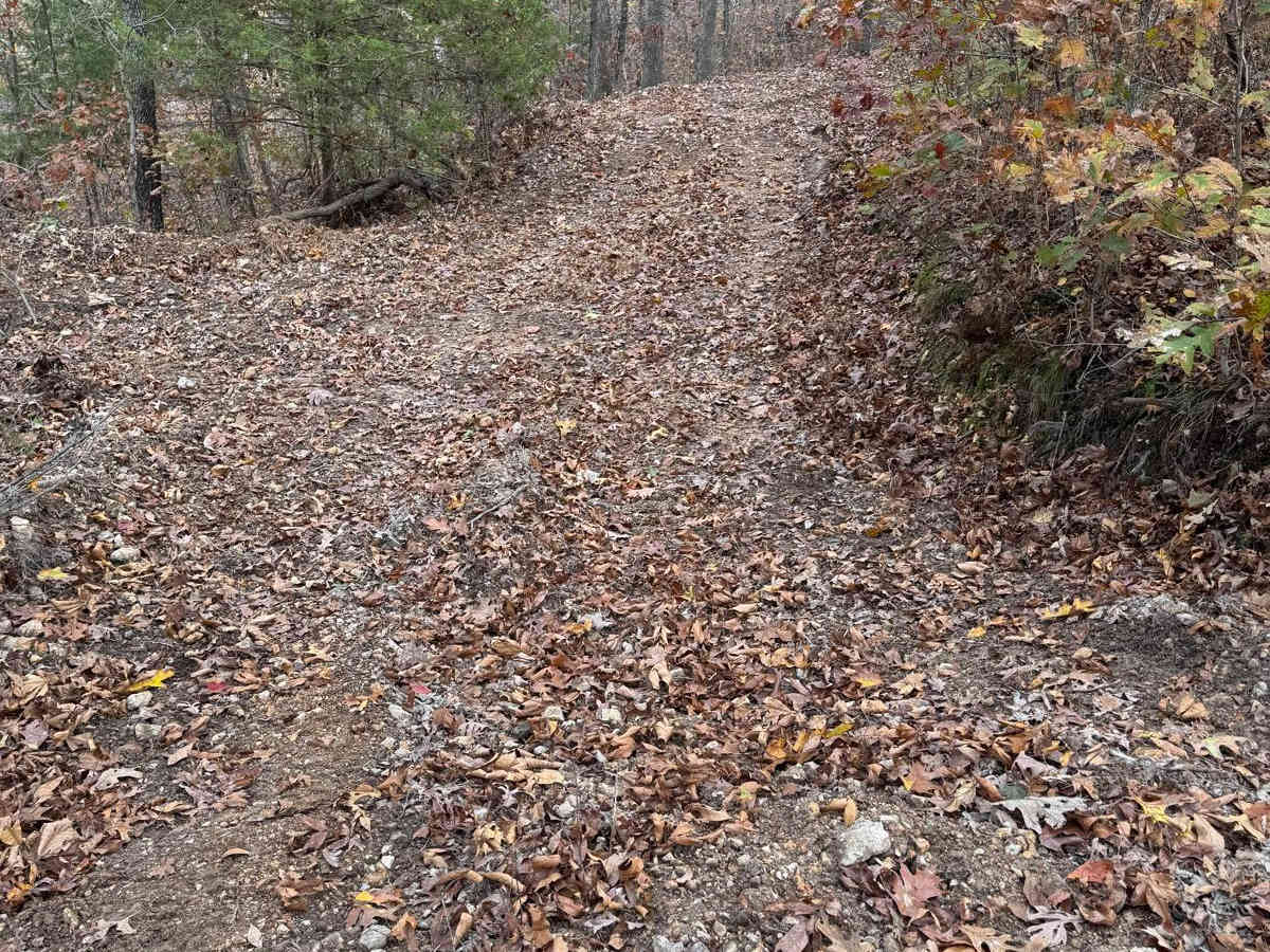 Green 189 trail photo