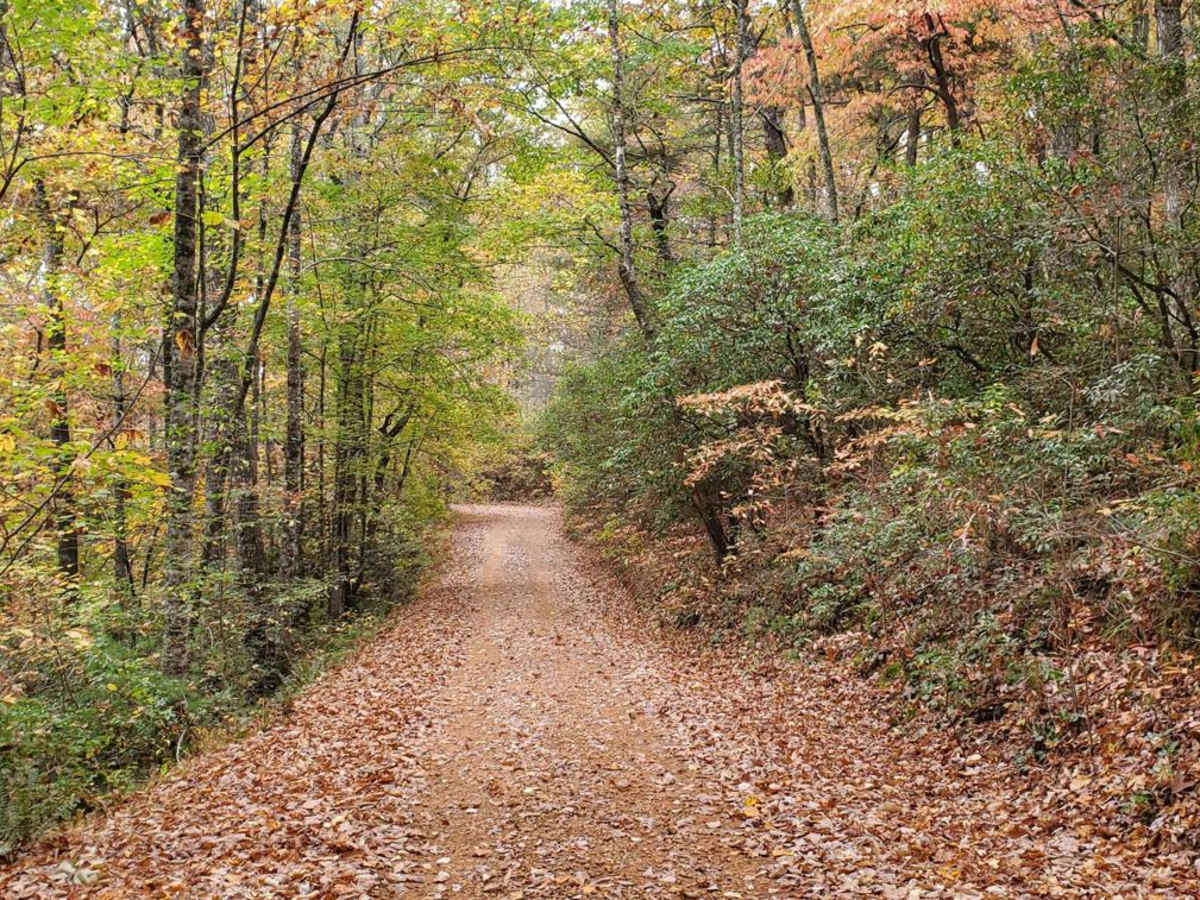 Moss Hill - FSR 28B photo 4