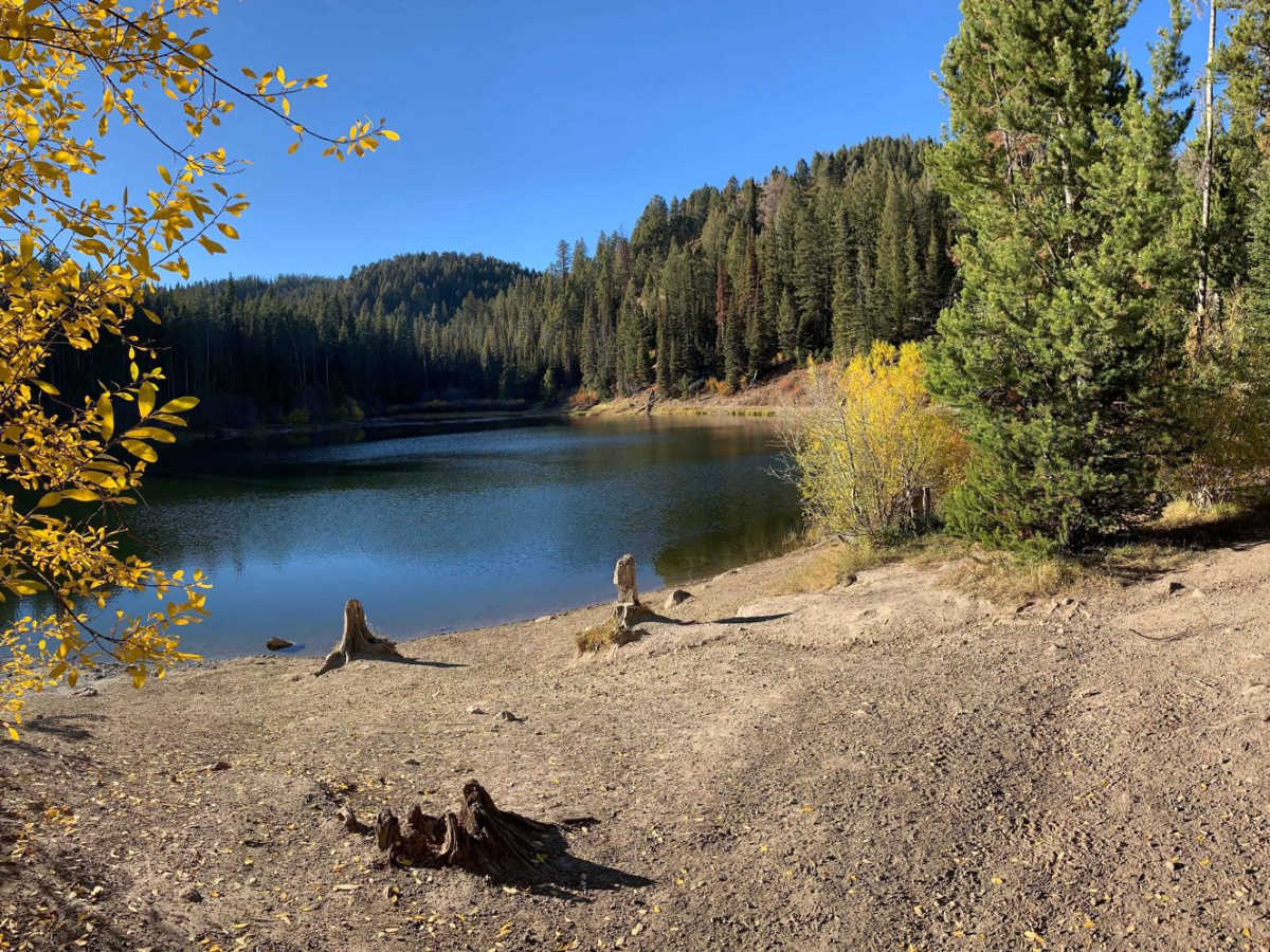 Packsaddle Lake photo 3