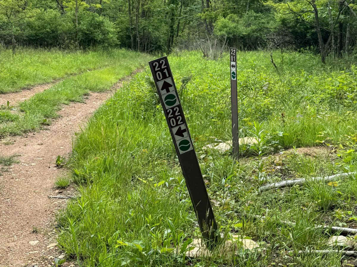 2202 Green trail photo