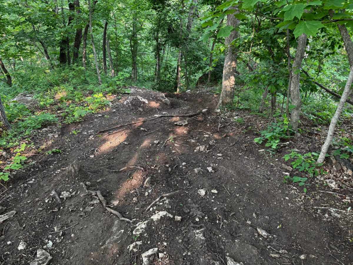 Red 136 trail photo