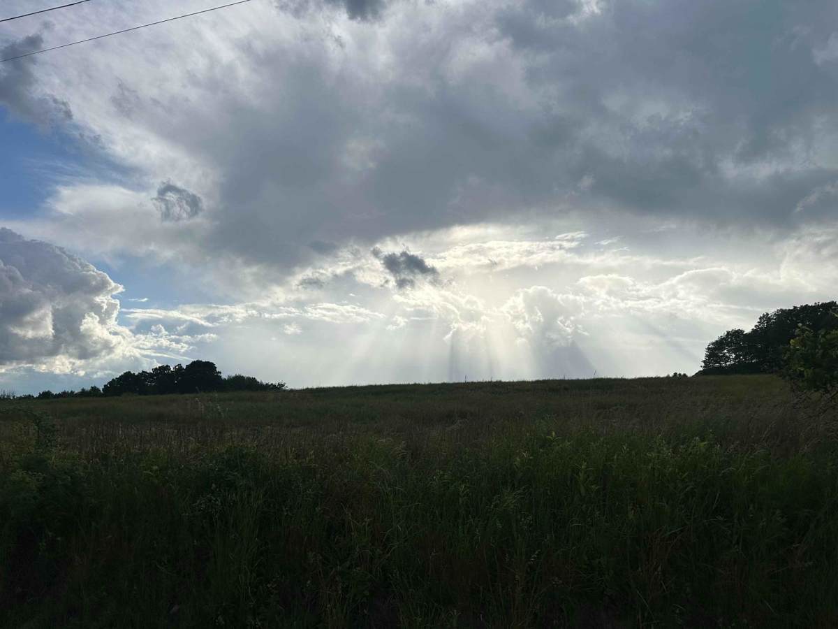 Coombs Road photo 4
