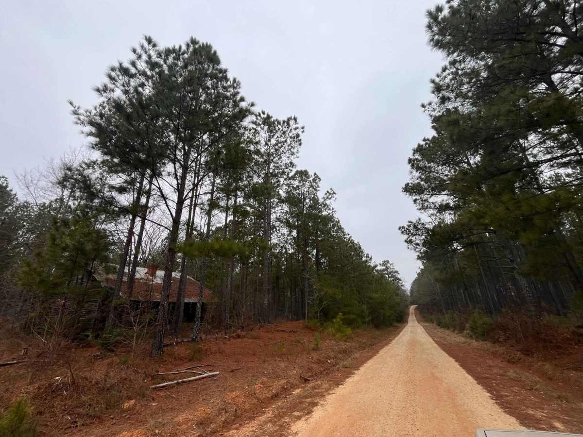 Old Charleston Road trail photo