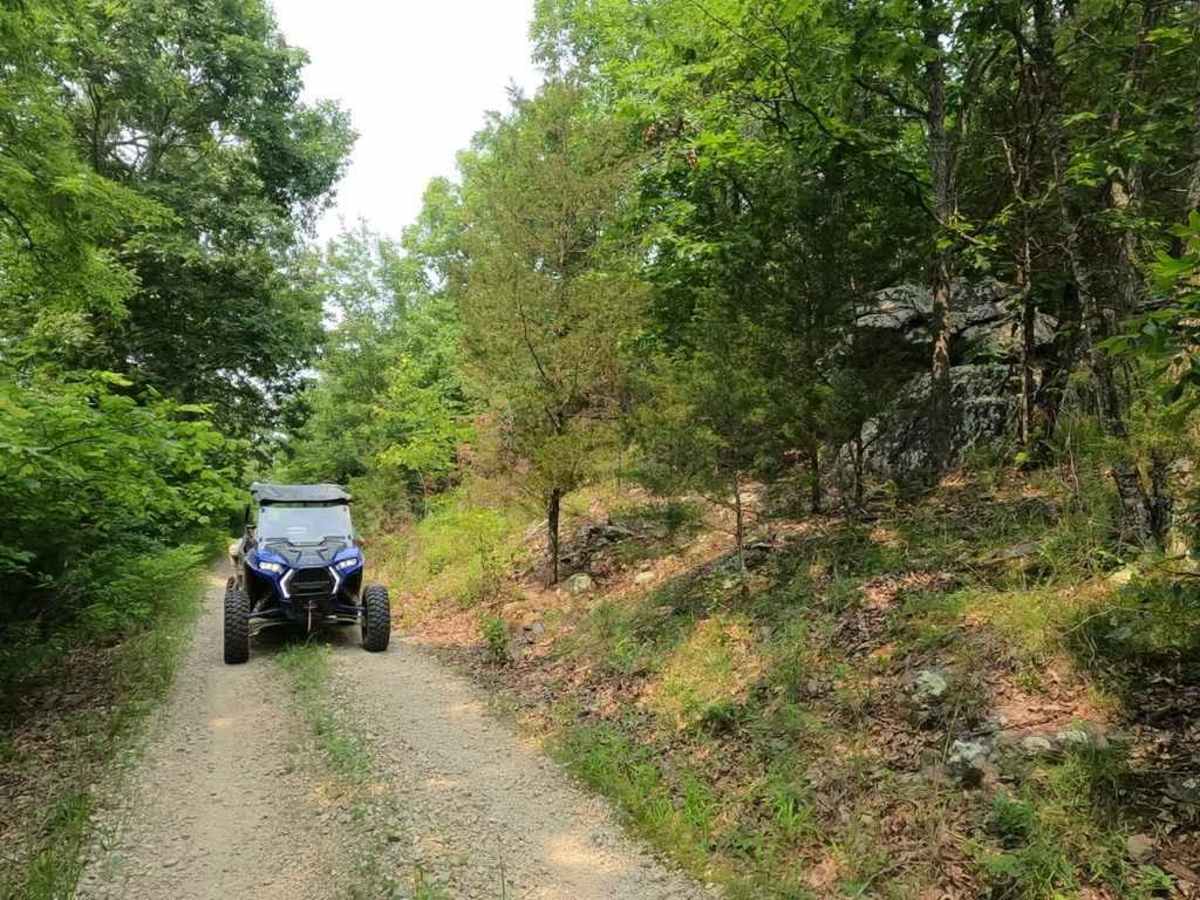 Cedar Bottom FSR 2159 trail photo