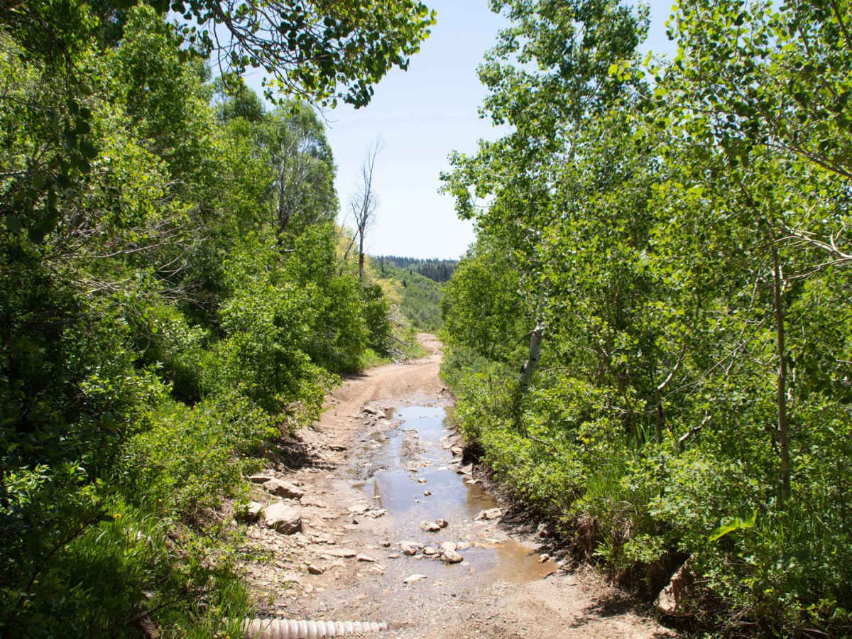 Farmington Flats photo 4
