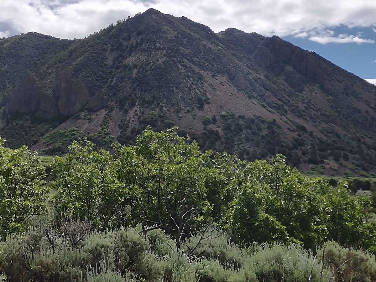 Alternate Smith Canyon Access (FS# 4923) photo 4