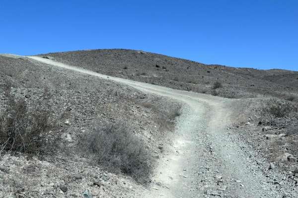 Ryan's Trail