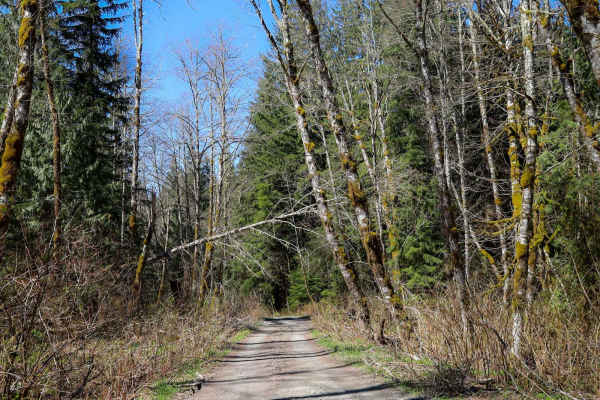 Rinker Ridge Road - Texas Pond