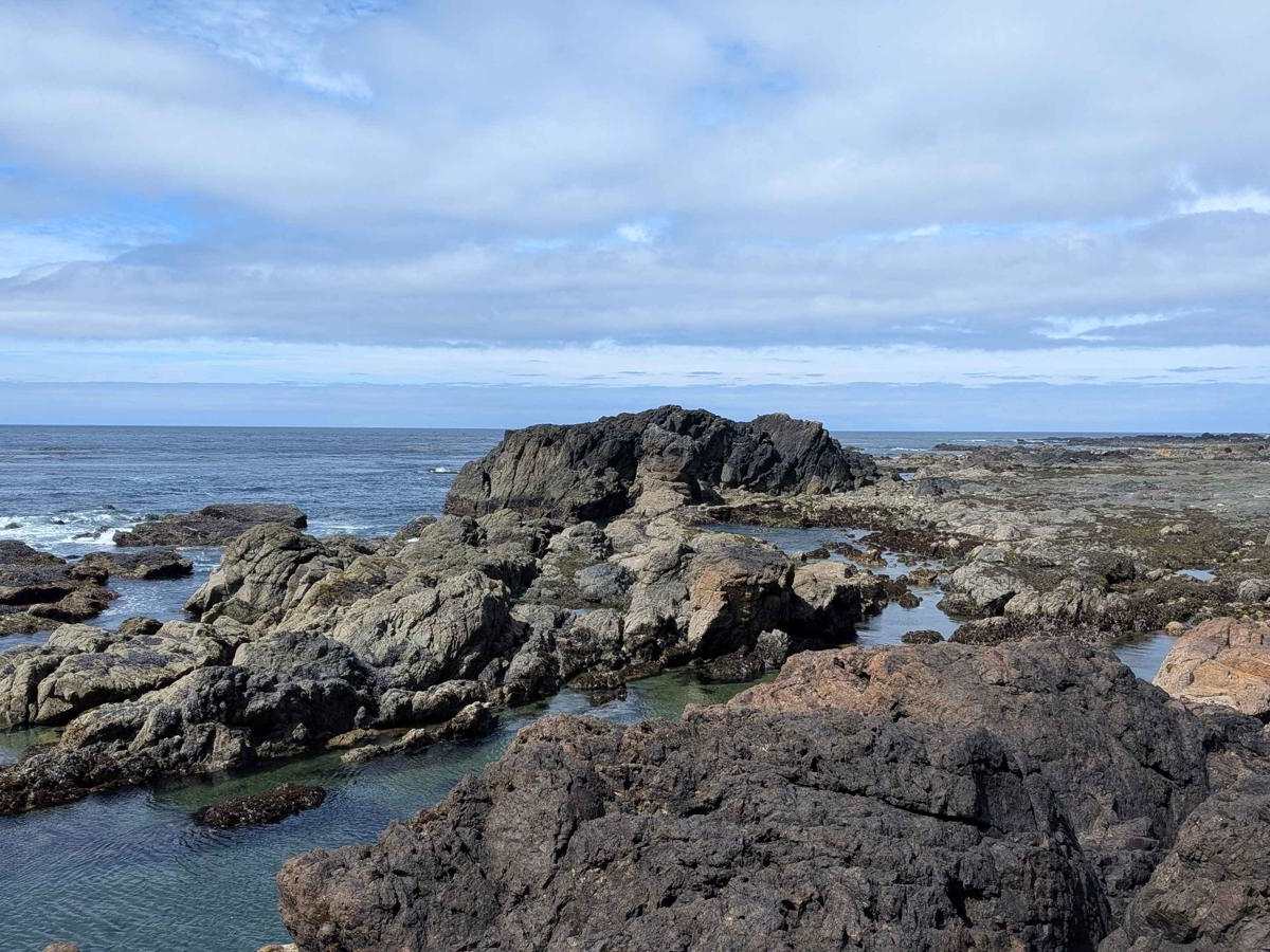 Hecht Beach Main trail photo