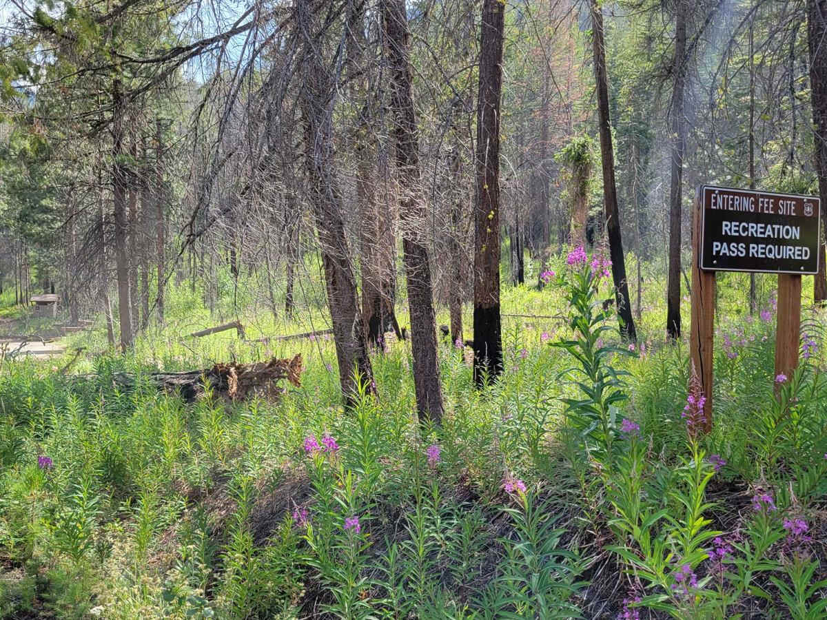 Eagle Creek Trailhead - FR 4420 80 photo 4