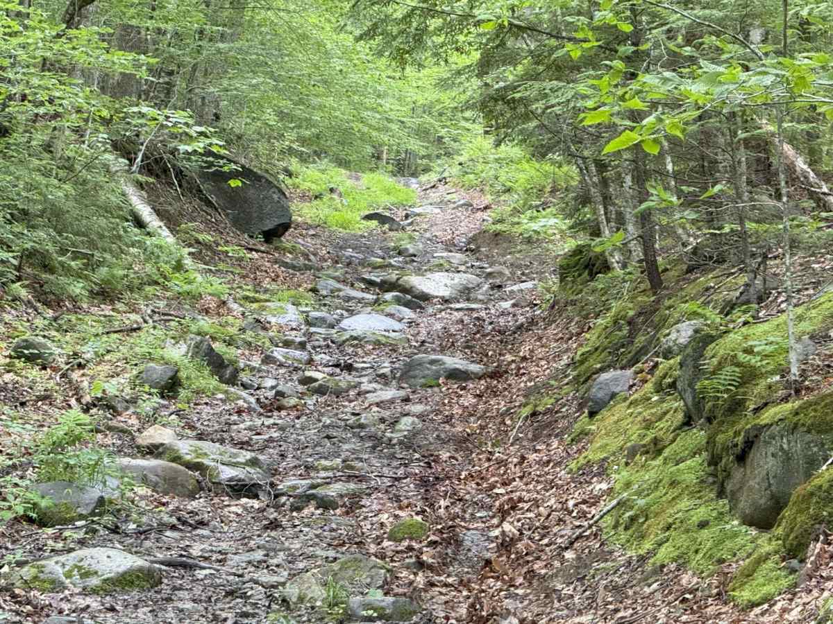 Berry Hill to Old Country Road Loop photo 5