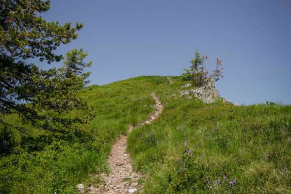 St. Joe Divide North