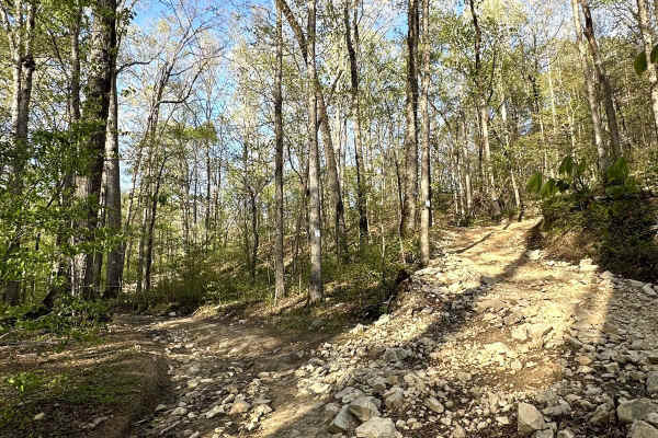 Trail 20