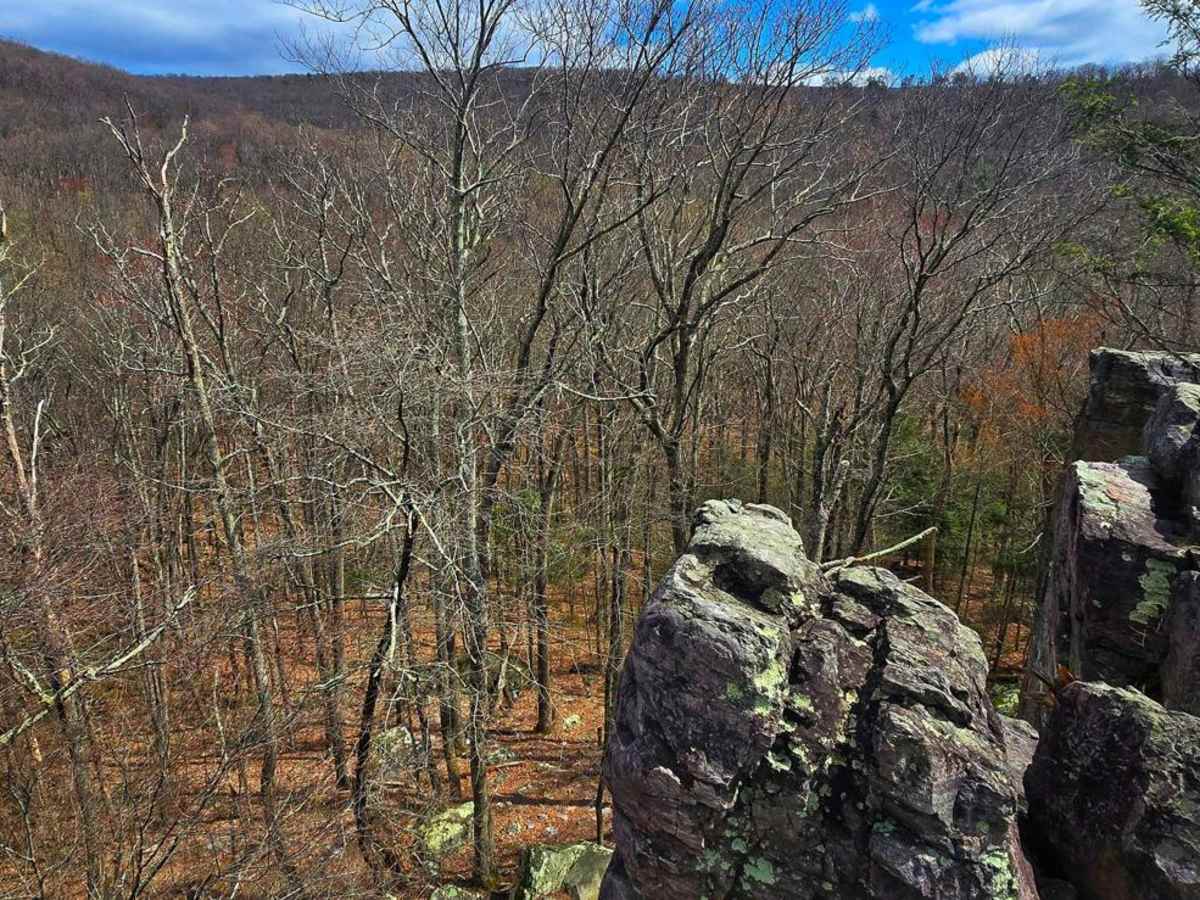 Swift Run Road photo 3
