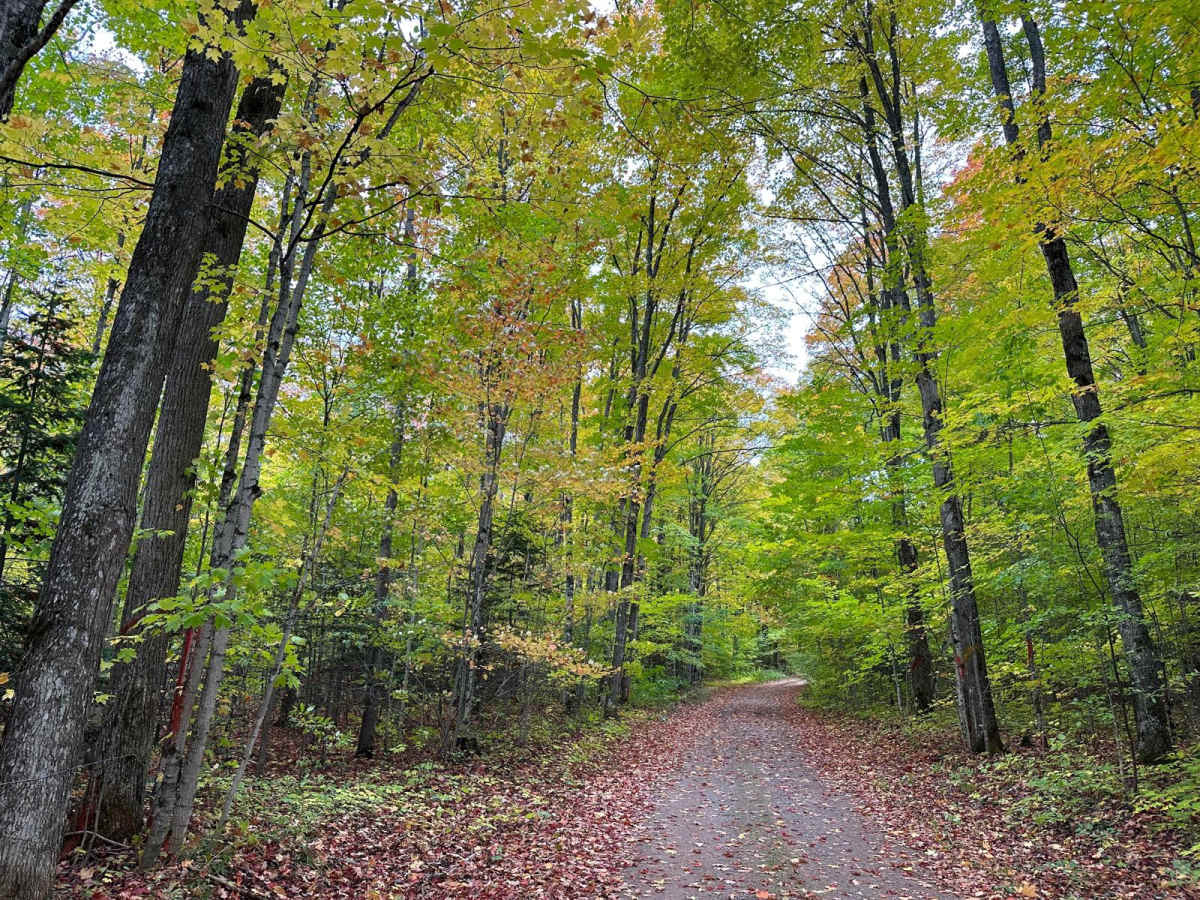 Old Camp Four Trail photo 6