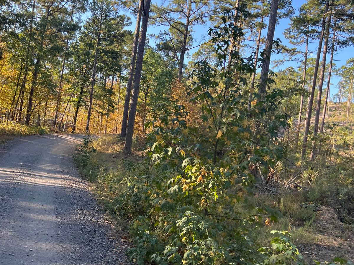 Nunley Road photo 5