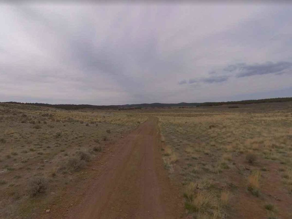 Big Bench Loop-FR30286 photo 6