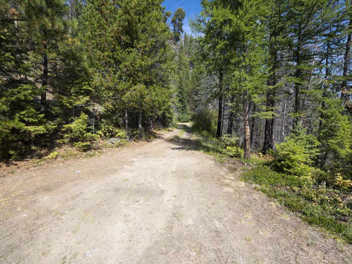 Small Creek FS 4292 trail photo