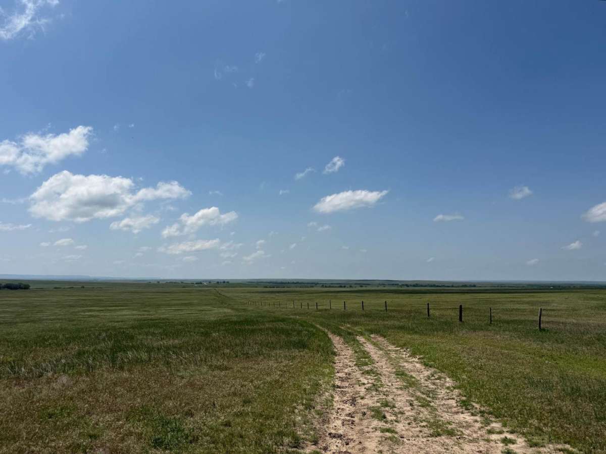 Prairie Dog - FR 925 photo 4