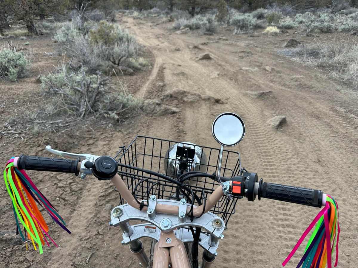 Buckhorn Loop trail photo