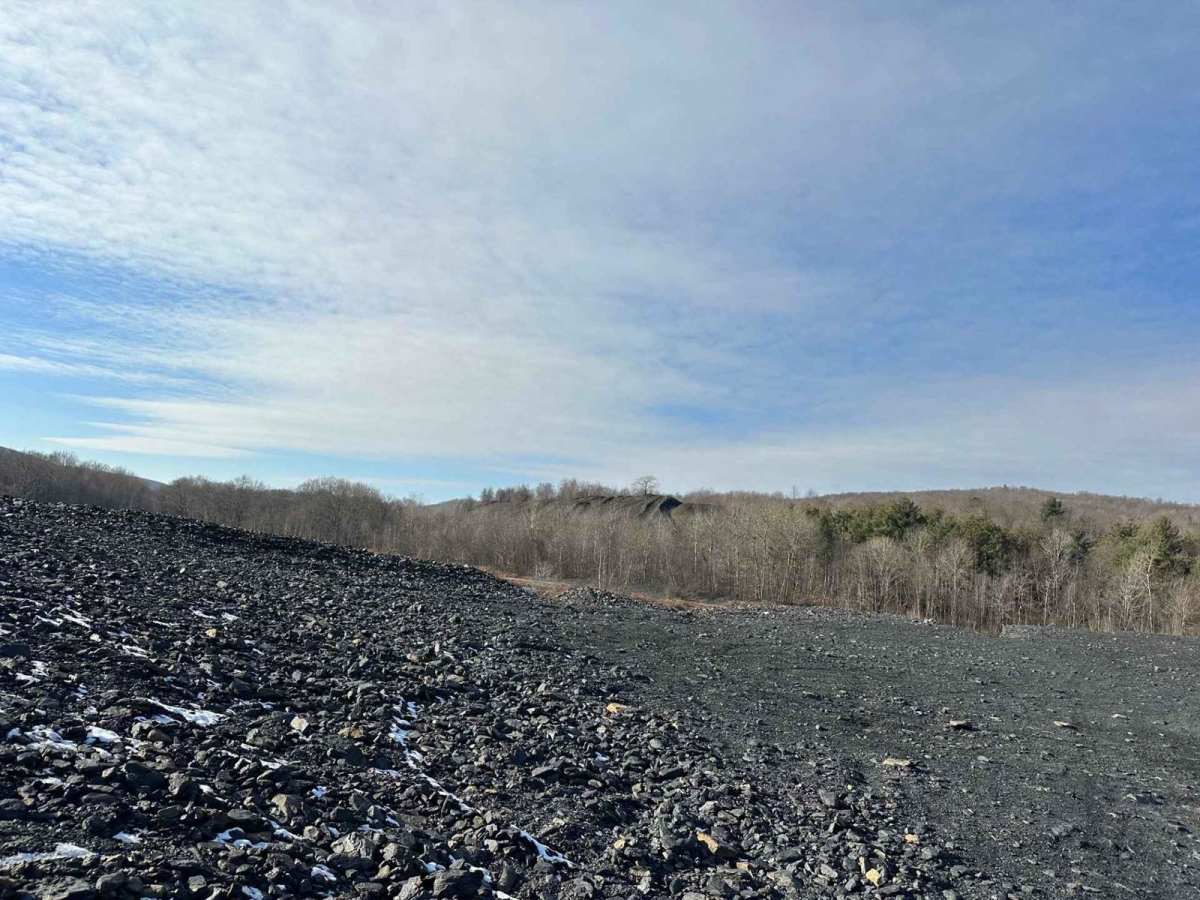Locust Gap 50 photo 4