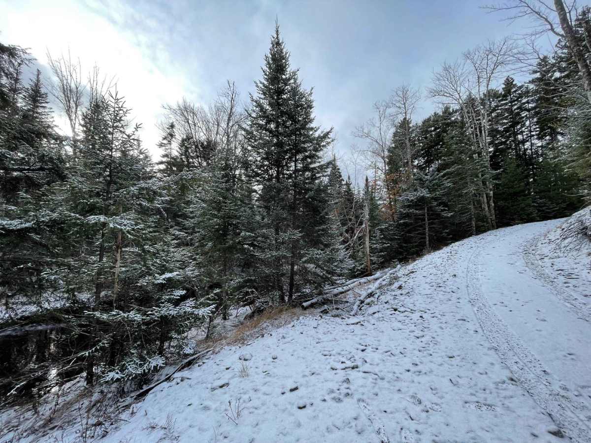 Wet Meadow Road trail photo