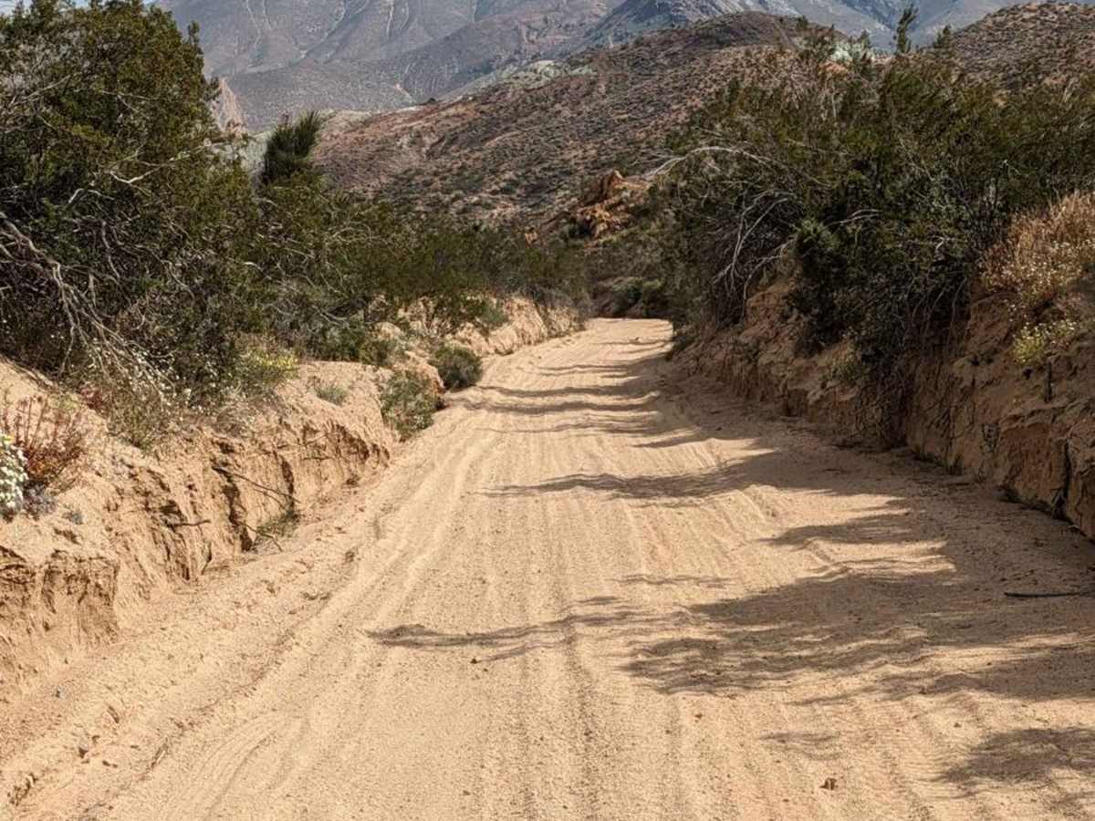 SC251 Jawbone Road to Gold Canyon Road photo 5