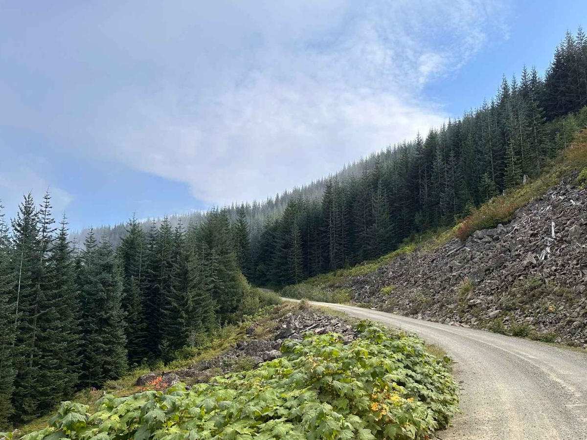Twenty-Eight Mile Creek photo 6
