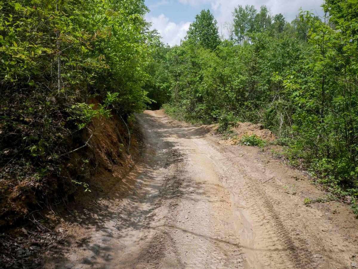 OP 25 (Part 2) trail photo
