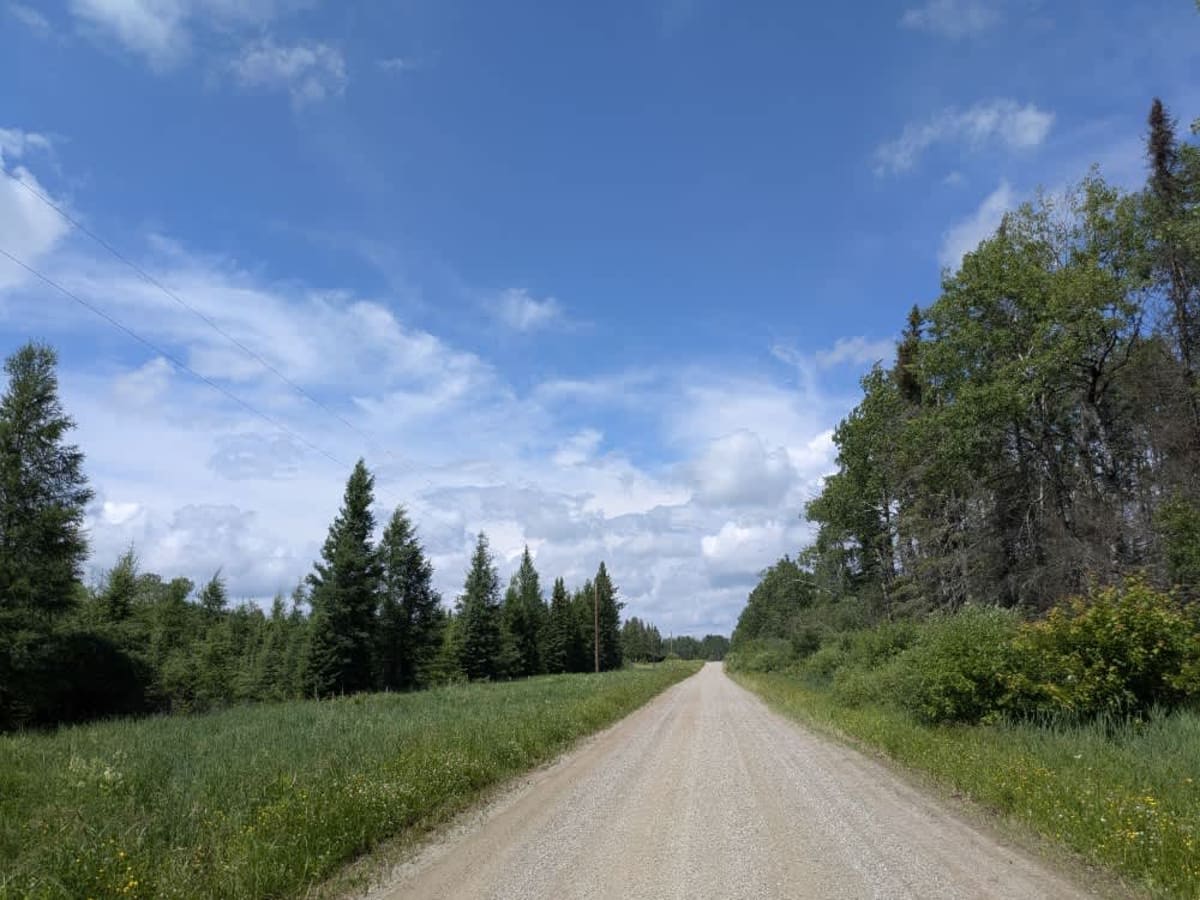 Brown Road photo 4