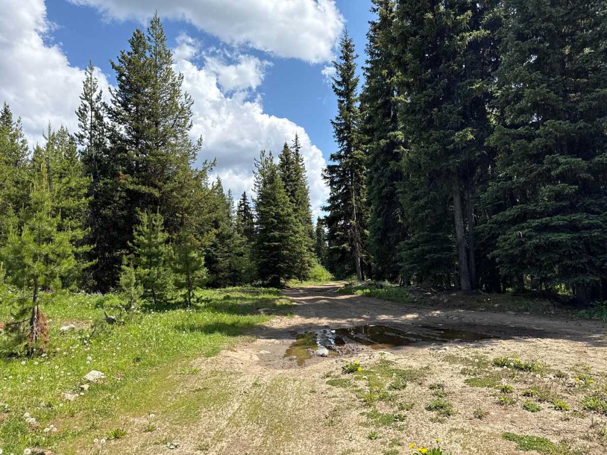 Bear Lake Road photo 3