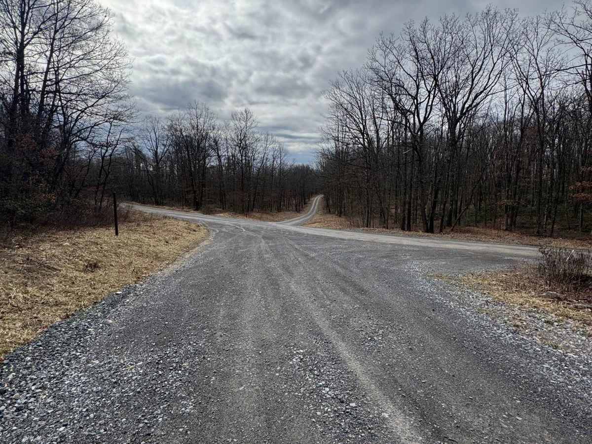 State Line Road photo 3