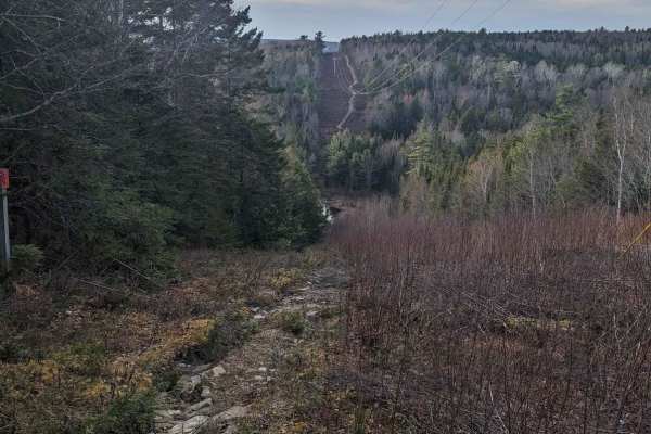 Douglas Logging Road Loop
