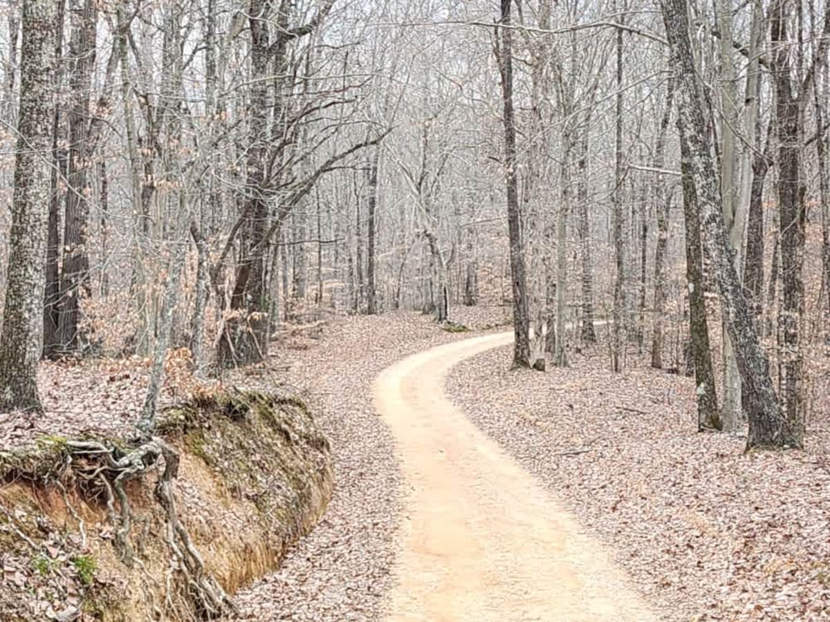 Web Hollow Road photo 6