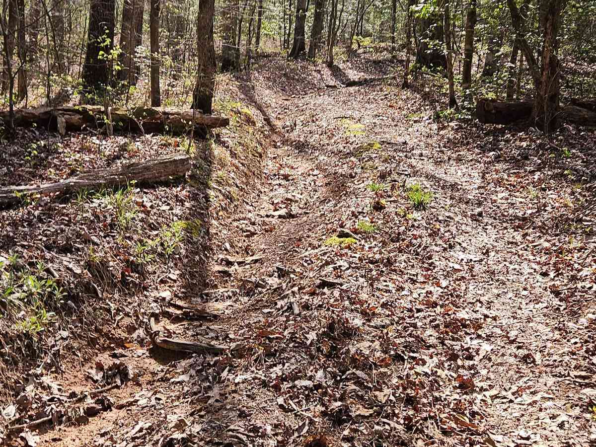 Kaia Trail photo 6