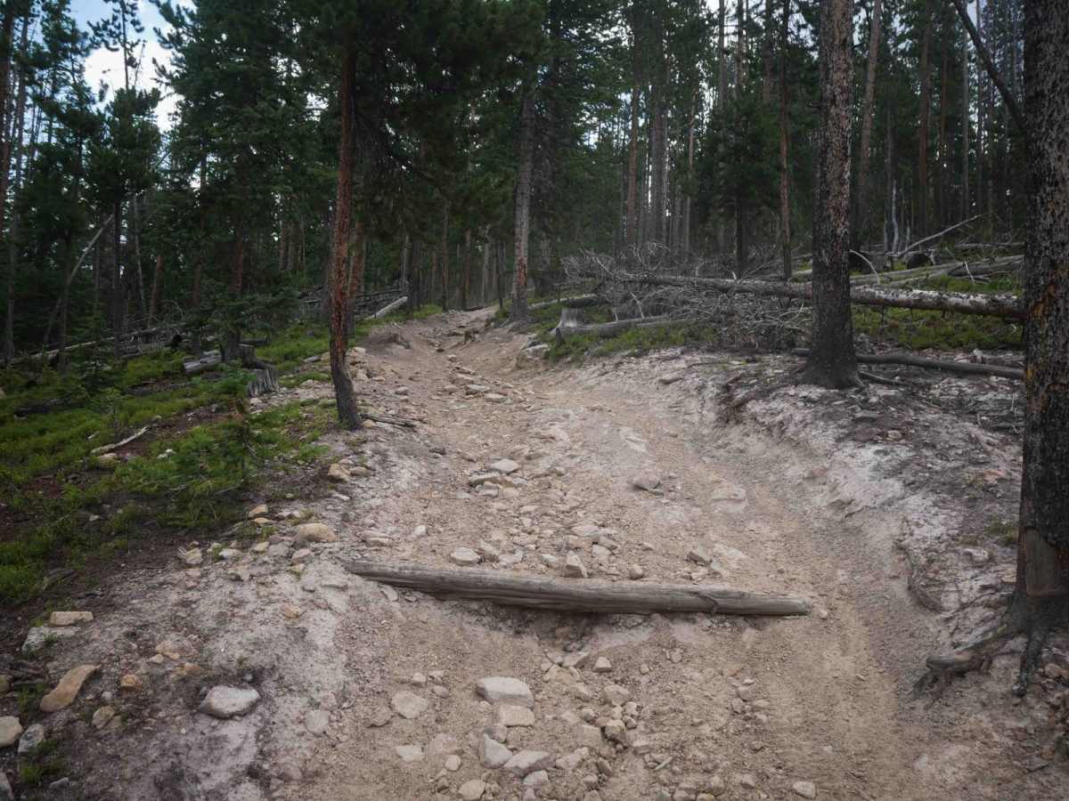 Illinois Ditch Trail  photo 3