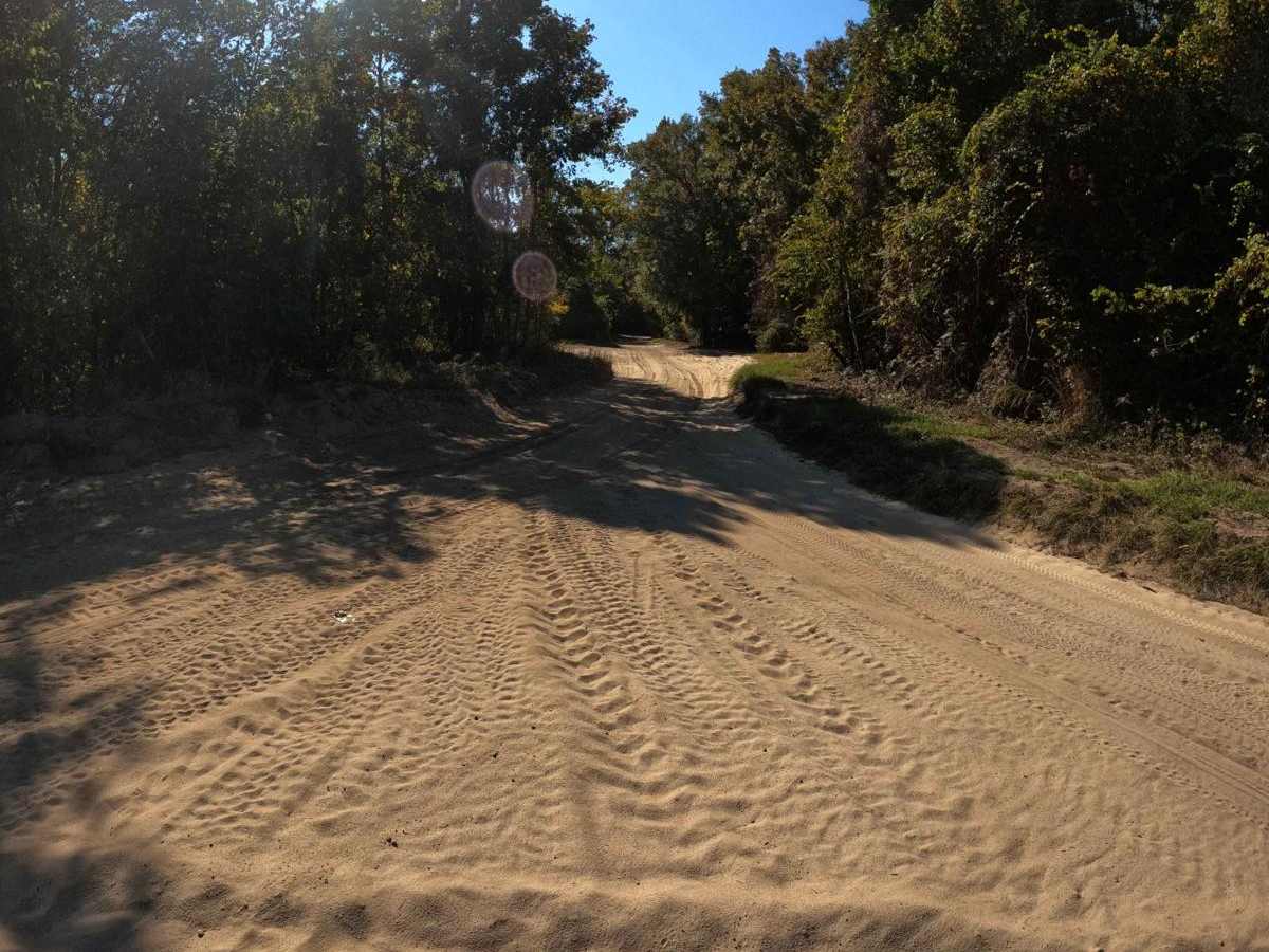 Skipper's Road trail photo