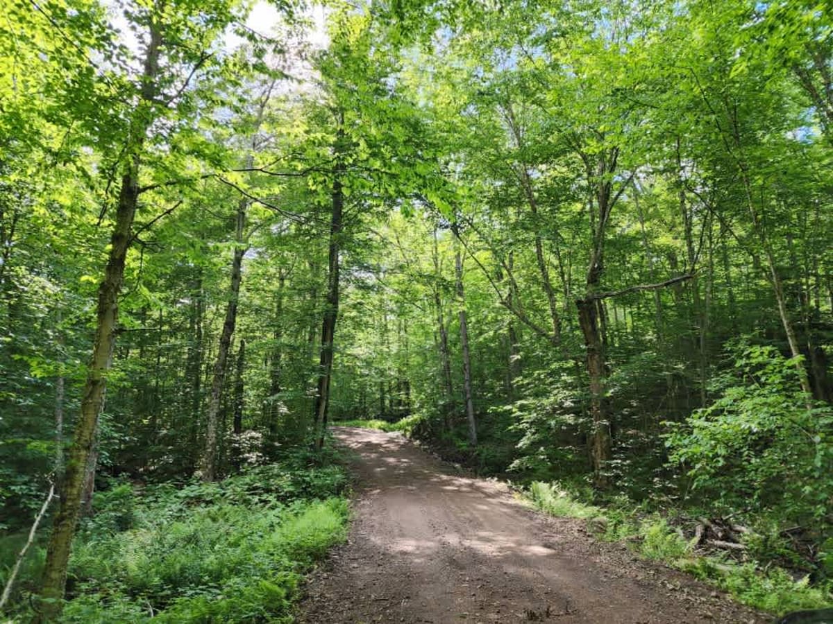 Stony Lake Road photo 5