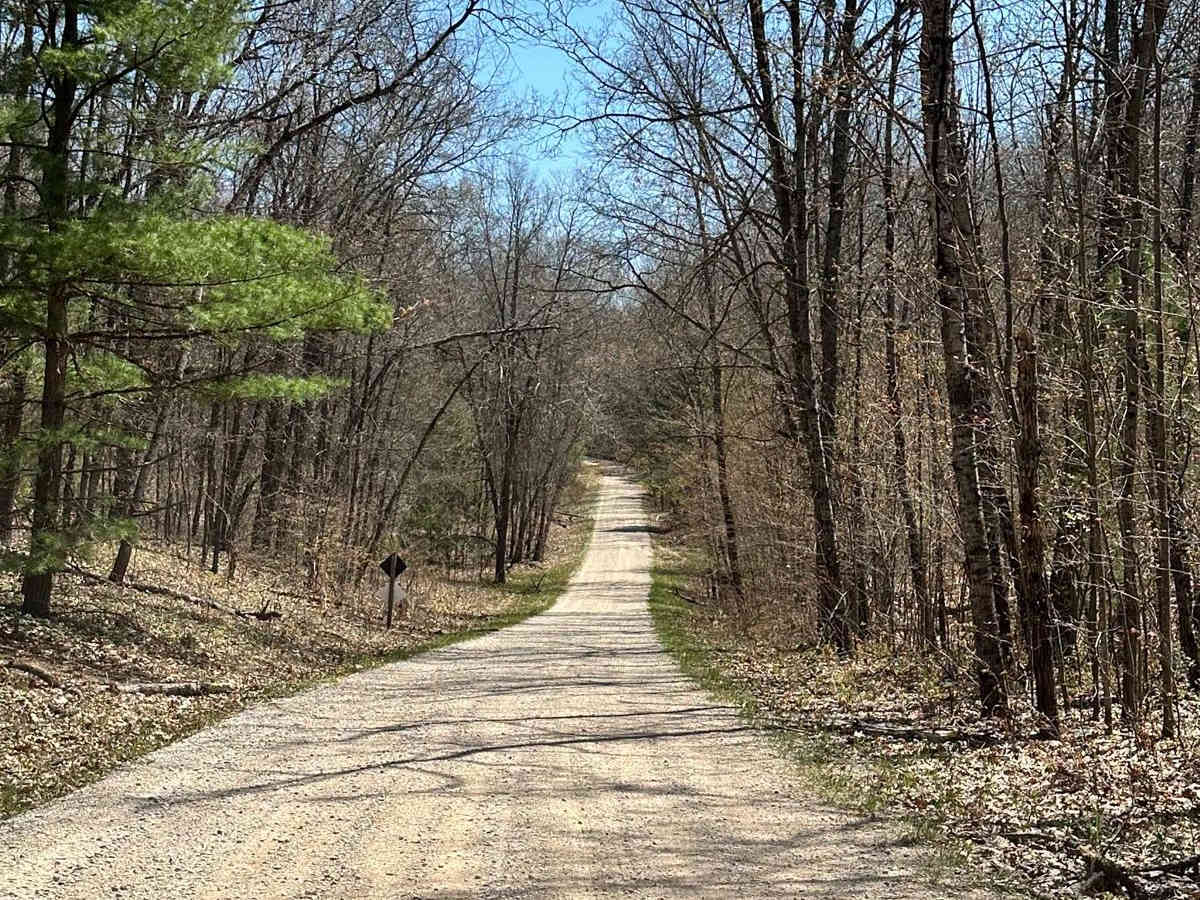 Cadillac Area ORV/OHV Scenic Ride - Part 17 photo 5