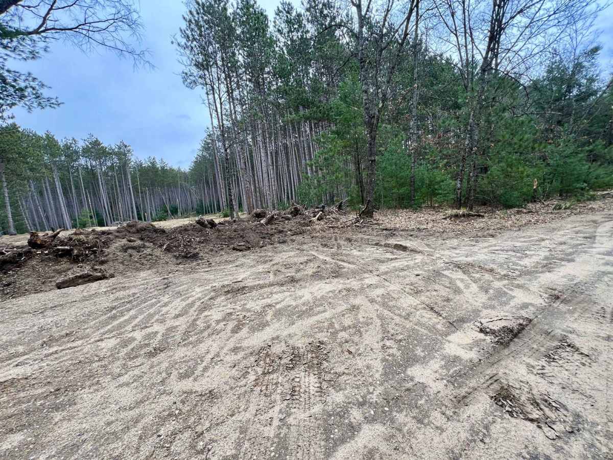 NFS 9222 (Newaygo Experimental Forest) photo 6