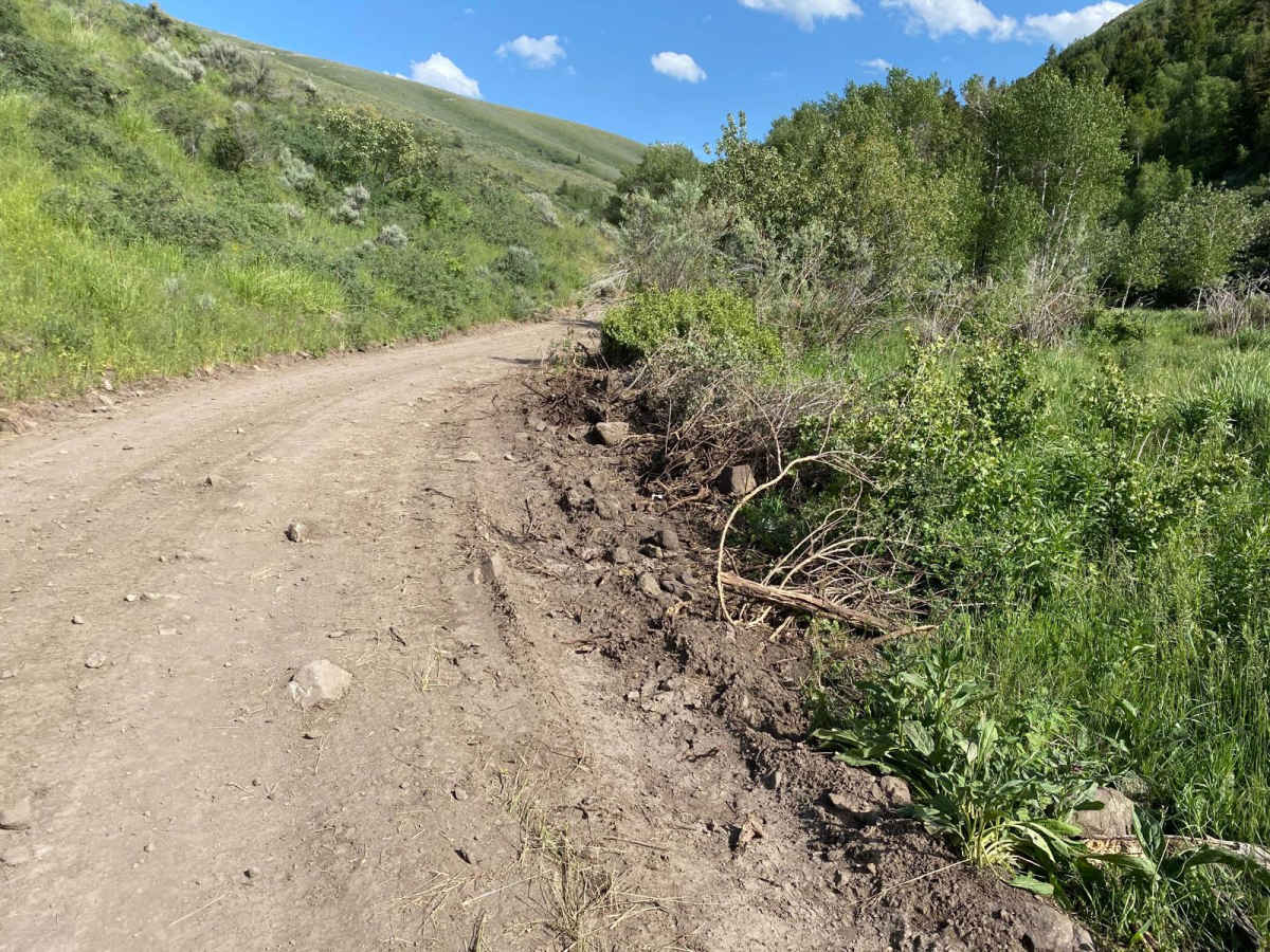 Indian Springs trail photo