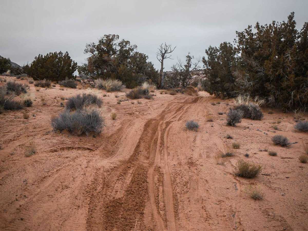 Motherload ATV photo 4