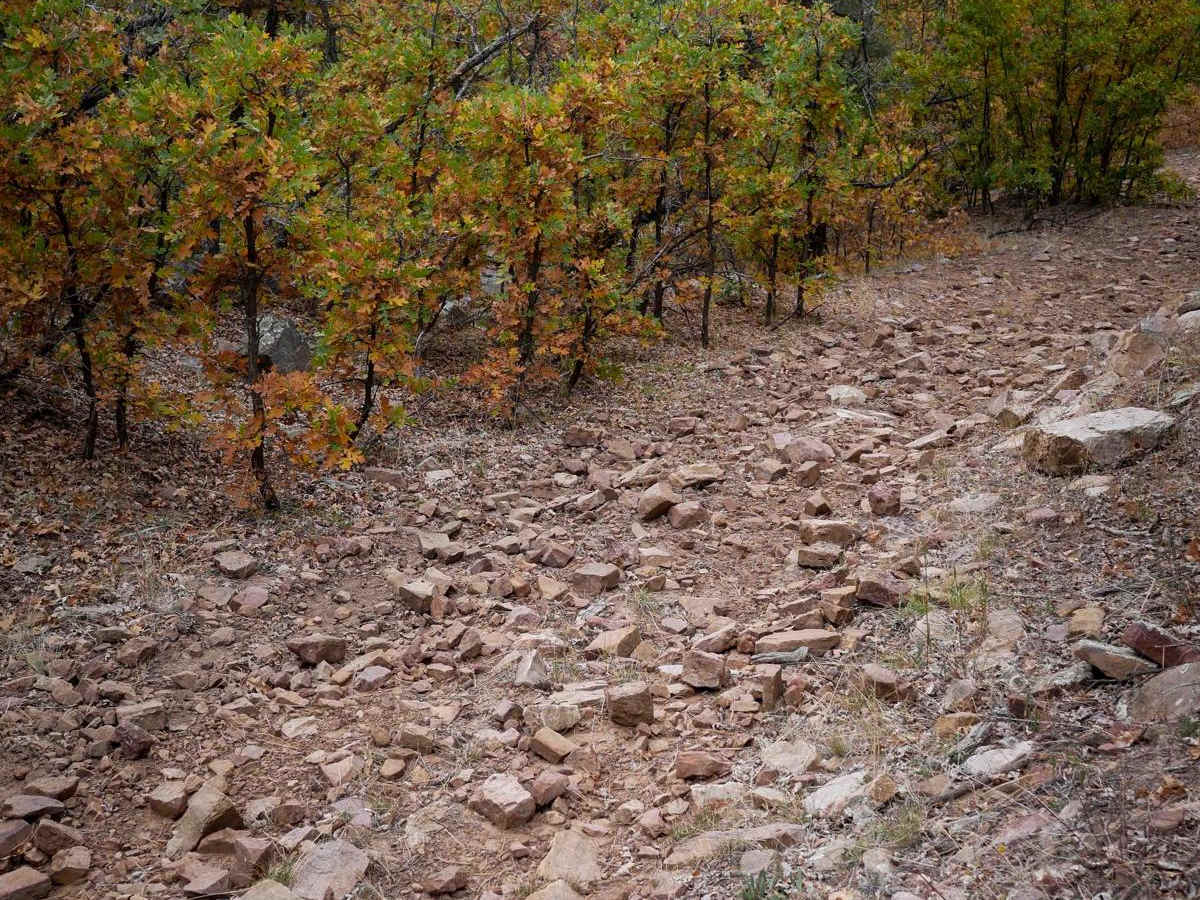 First Notch 1 trail photo