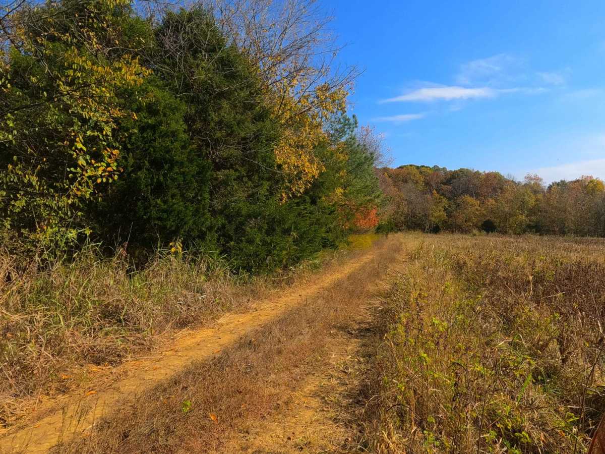 Kelsie Road - FS 308 photo 5