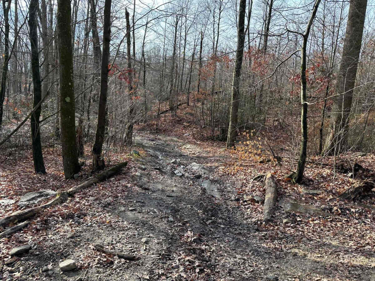 Wimzy Water Hole Trail photo 3