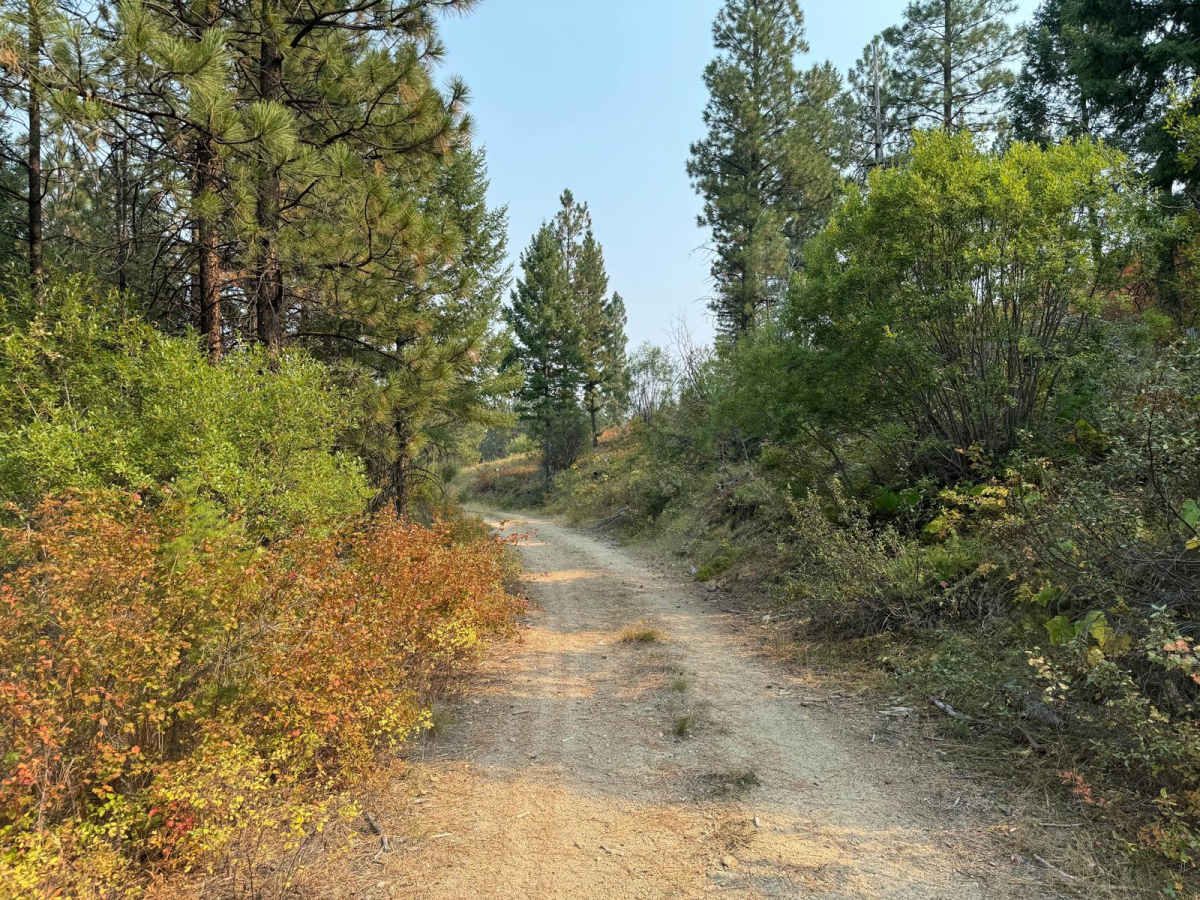 Chaffin Creek Hart Gulch photo 3