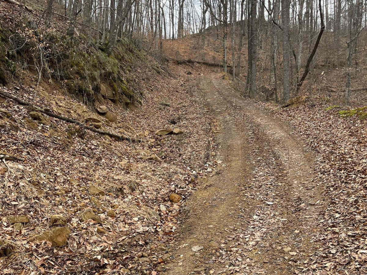 Trail 31 photo 6